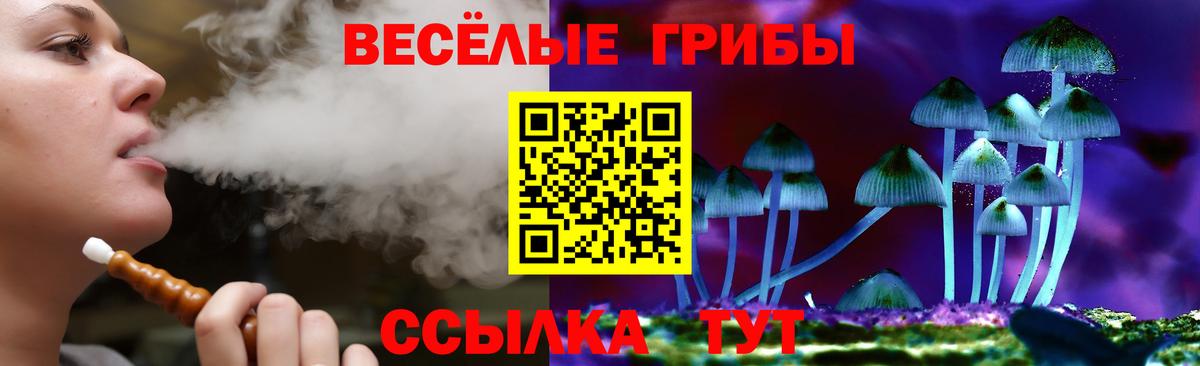 Галлюциногенные грибы Cubensis Котельники
