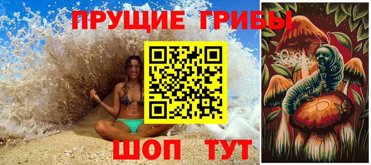 Галлюциногенные грибы GOLDEN TEACHER  Вход с VPN  Галлюциногенные грибы Cubensis  Котельники 